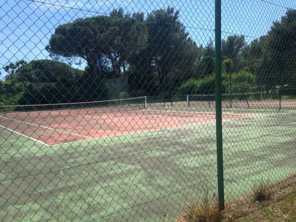 Agreable Studio Proche Sttropez Piscine Et Tennis 盖辛 外观 照片