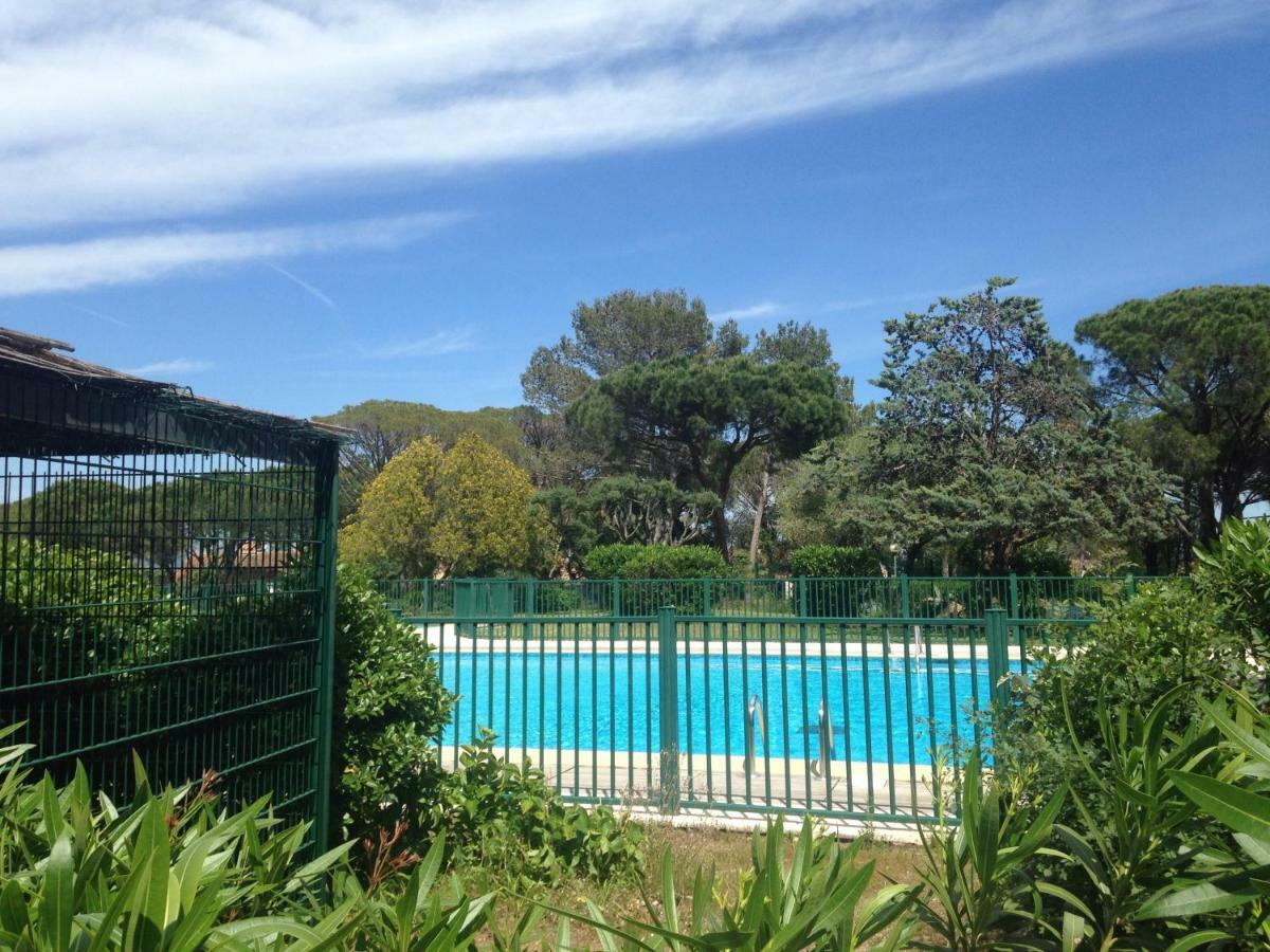 Agreable Studio Proche Sttropez Piscine Et Tennis 盖辛 外观 照片
